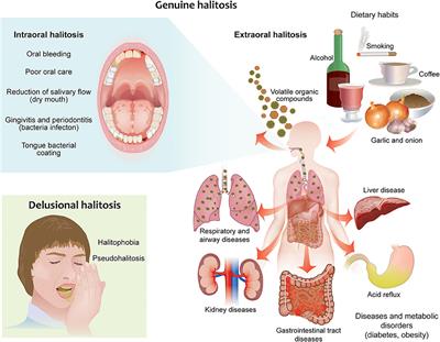 A Literature Review and Framework Proposal for Halitosis Assessment in Cigarette Smokers and Alternative Nicotine-Delivery Products Users